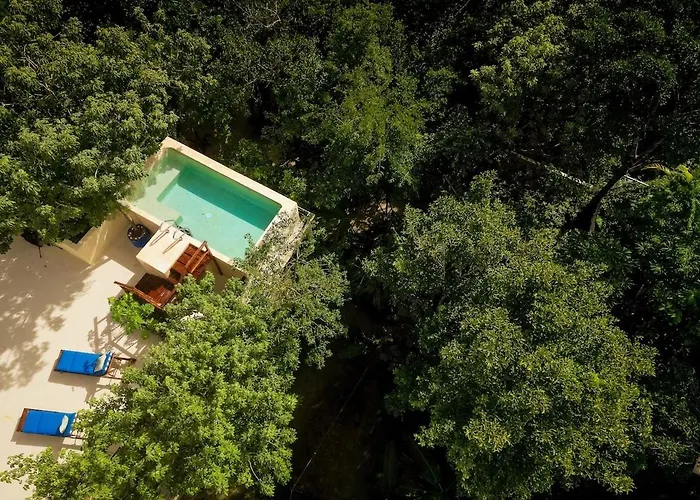 Casa Hibiscus Sky-high Pool With Birds Above The Jungle *