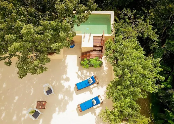 Pousada Casa Hibiscus Sky-high Pool With Birds Above The Jungle *