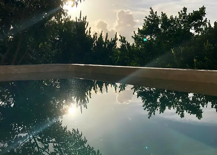 Pousada Casa Hibiscus Sky-high Pool With Birds Above The Jungle