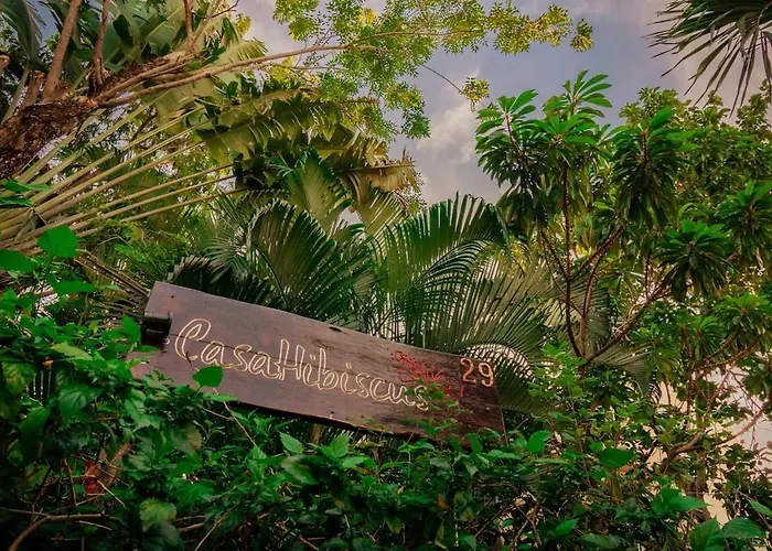 Pousada Casa Hibiscus Sky-high Pool With Birds Above The Jungle Tulum
