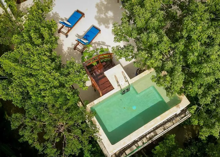 Casa Hibiscus Sky-high Pool With Birds Above The Jungle Pousada