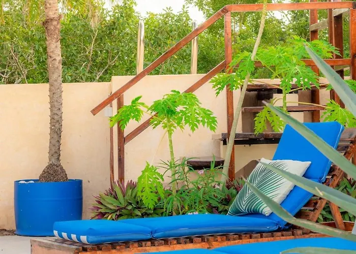Casa Hibiscus Sky-high Pool With Birds Above The Jungle Pousada *