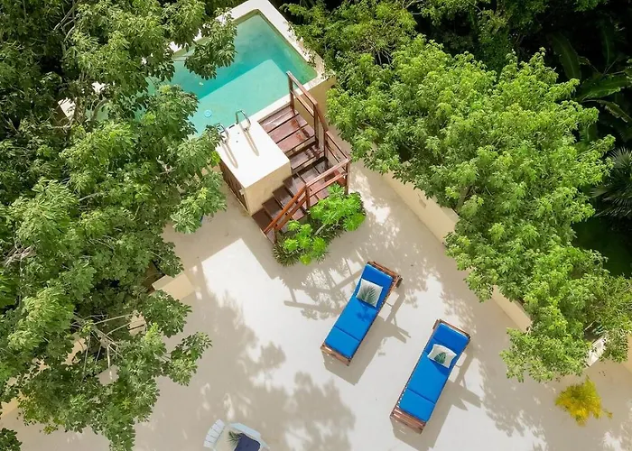 Casa Hibiscus Sky-high Pool With Birds Above The Jungle *